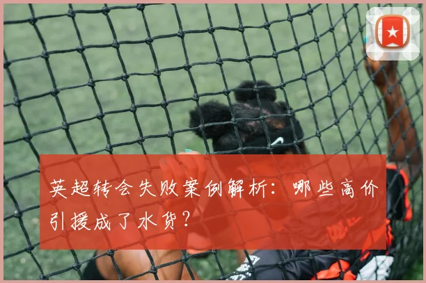 英超转会失败案例解析：哪些高价引援成了水货？