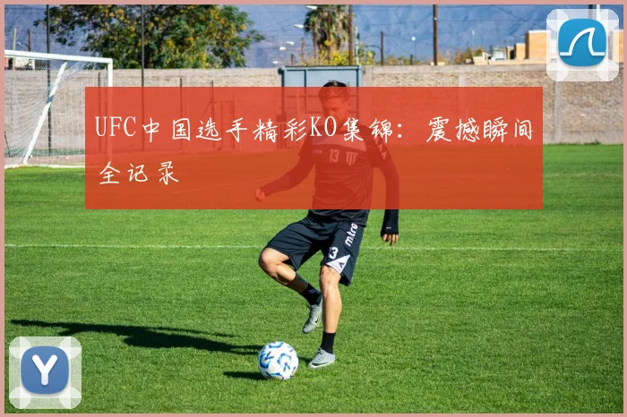 UFC中国选手精彩KO集锦:震撼瞬间全记录