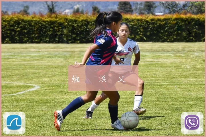 缃戞槗浜戞父鎴�